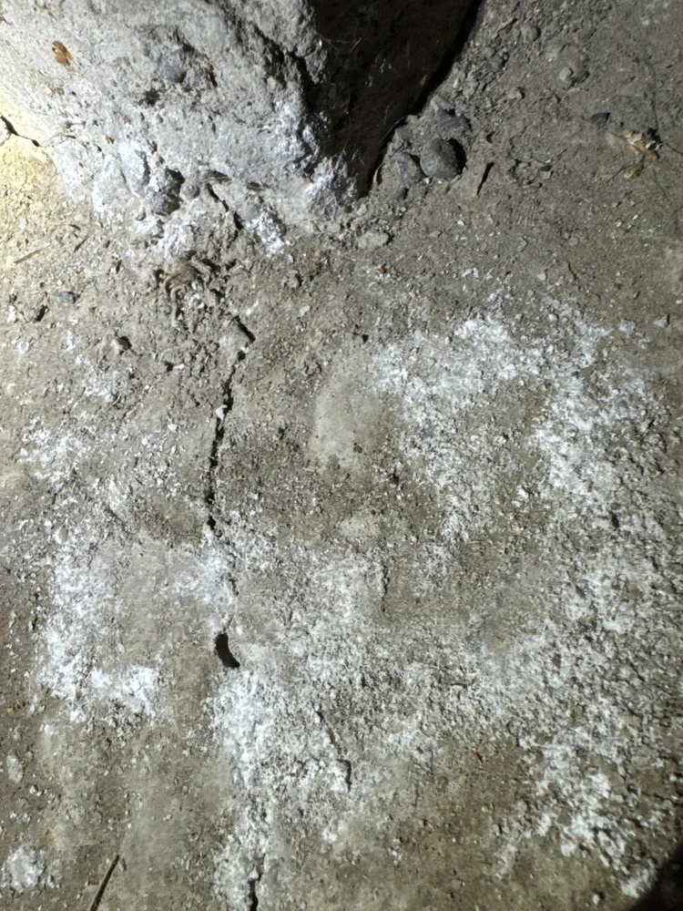 Sardis Crawlspace Waterproofing - Gallery 1