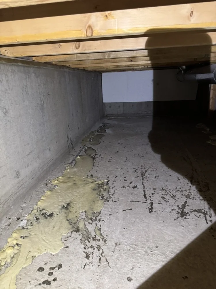 Sardis Crawlspace Waterproofing - Gallery 6